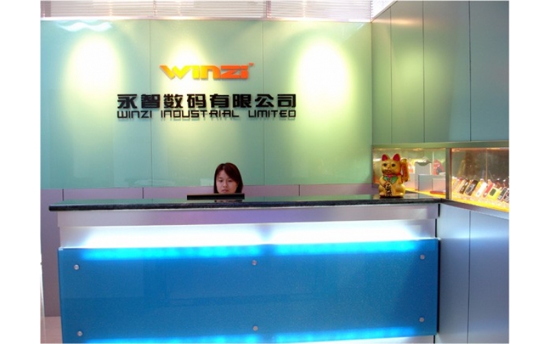 公司組織結(jié)構(gòu)圖，深圳市模具廠的最初結(jié)構(gòu)